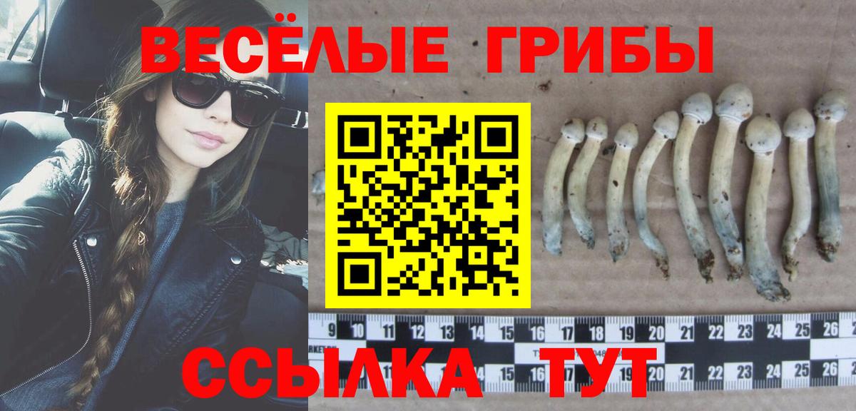 Галлюциногенные грибы Cubensis Можга