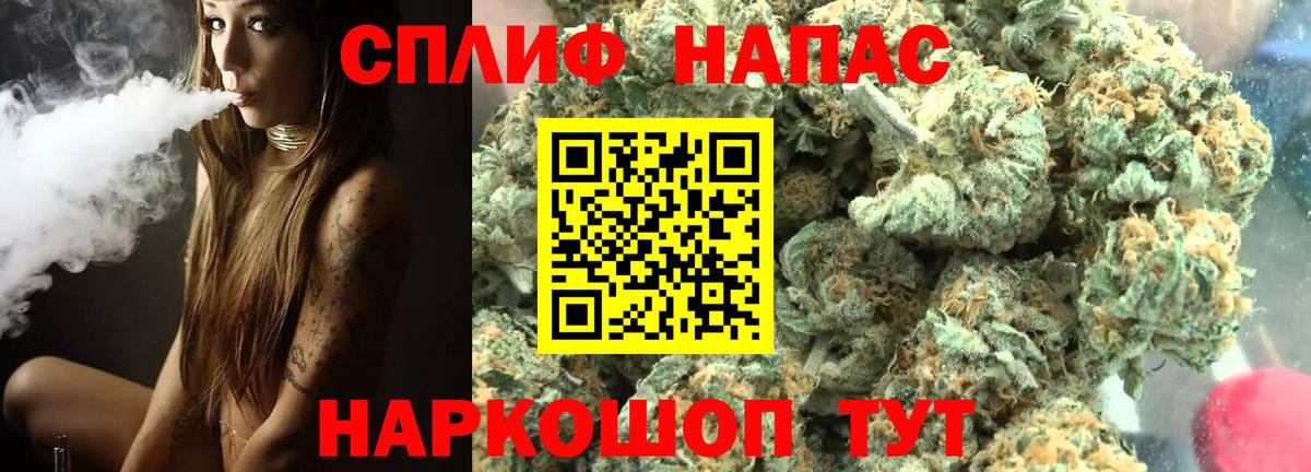 Канабис конопля Можга